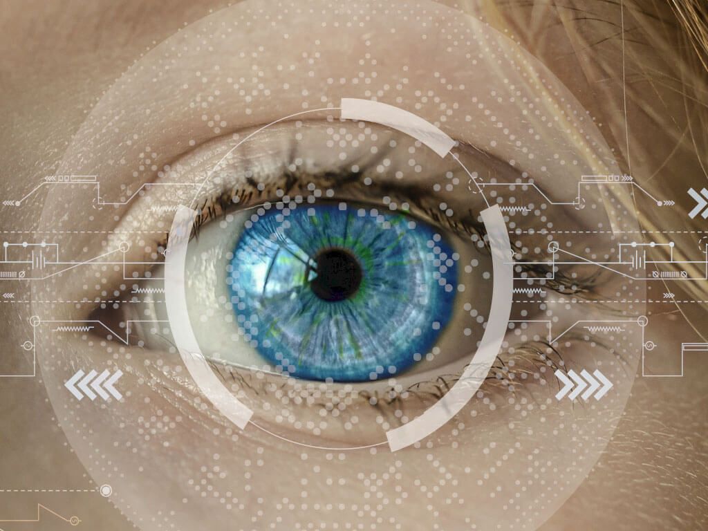 Canopy en los bosques de Loreto