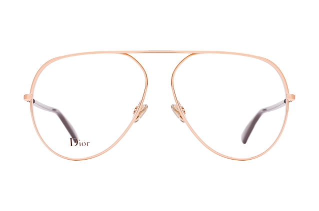 Canopy en los bosques de Loreto