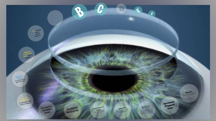 Biomicroscopia EN Laz Paz y El Alto Bolivia